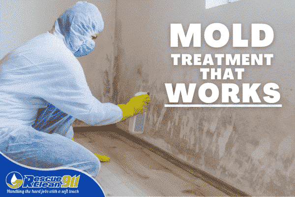 Hazardous Mold Cleaning, House Mold Repair Boca Raton FL