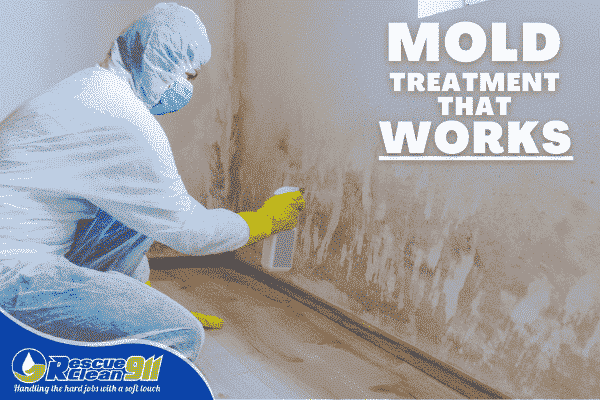Deep Clean, Mold cleaning Fort Lauderdale Fl