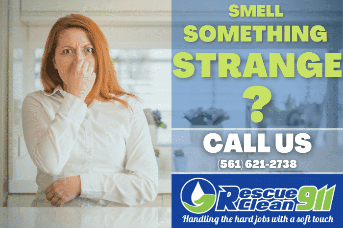 Strange odor removal company