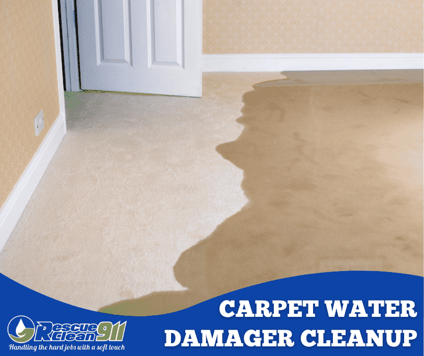 remove odor from wet carpet