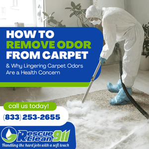 how to remove odor from carpet