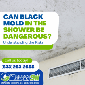 Can Black Mold in the Shower Be Dangerous