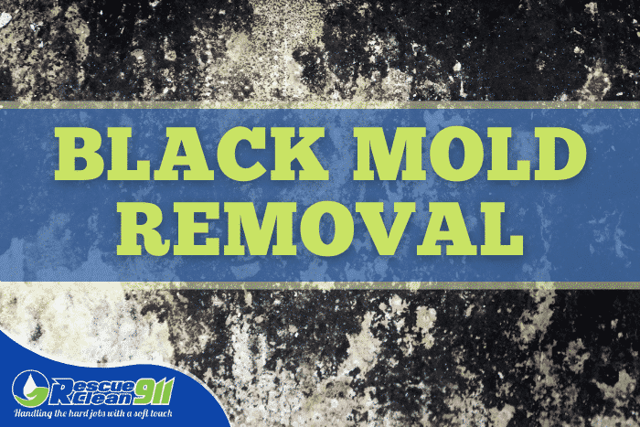 Can I Remove Black Mold Myself?