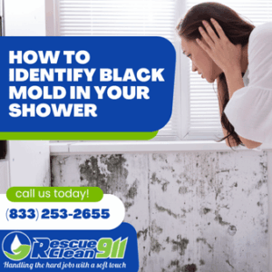 other types of mold