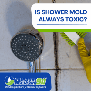 proper ventilation to prevent mold