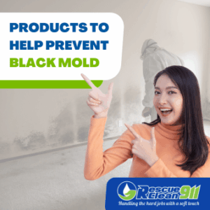 stachybotrys chartarum or black mold