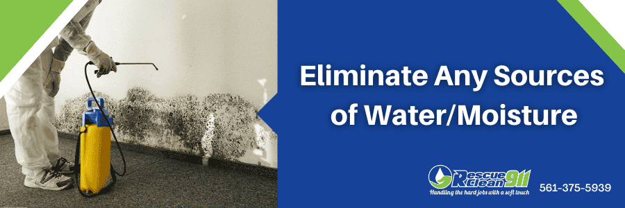 mold contamination cleanup process