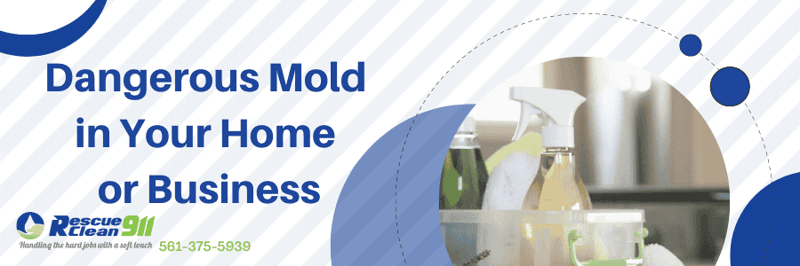 mold inspection for your home