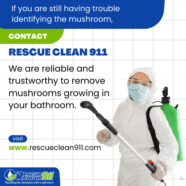 https://rescueclean911.com/wp-content/uploads/2022/10/Call-Rescue911-for-mold-mushrooms-removal.png