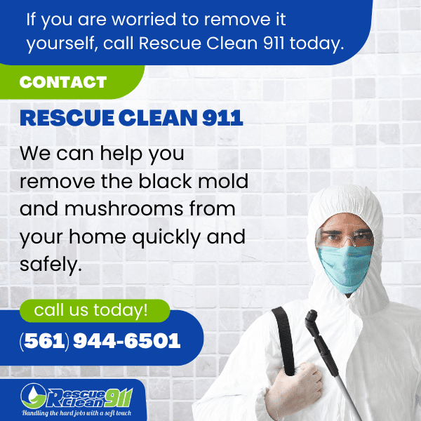 Contact The Pros if you have mushrooms in shower areas