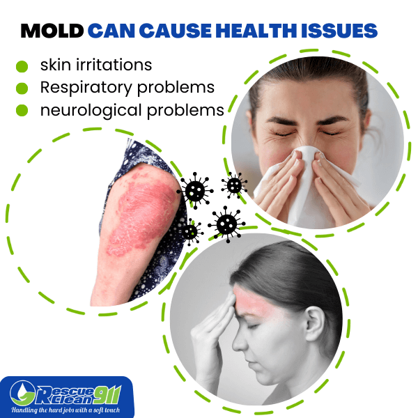 Detect black mold inside to avoid health issues