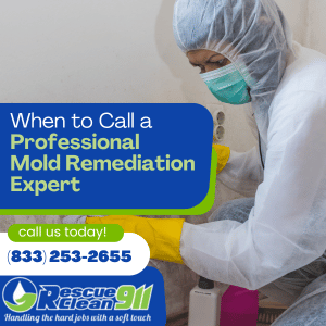 Health Risks of Mold Exposure