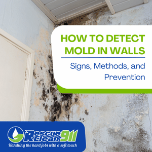 How to Detect Mold in Walls