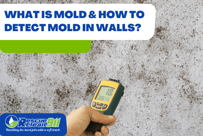 How to Detect Mold in Walls