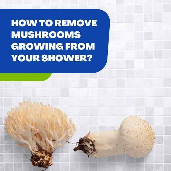 How to remove mushrooms from your shower