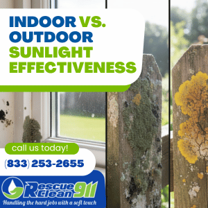 Indoor vs. Outdoor Sunlight Effectiveness
