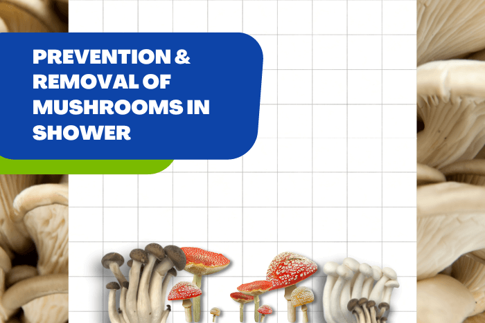 Mushrooms in shower