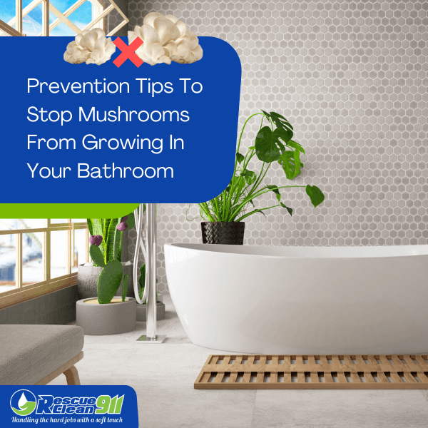 Prevention Tips of black mold growth