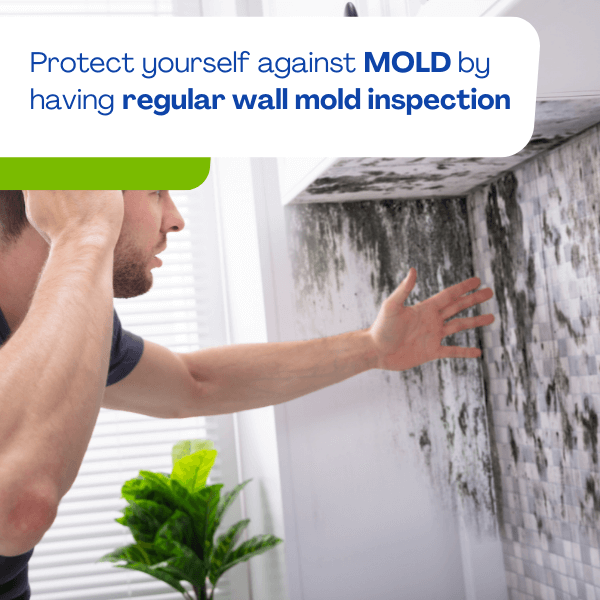 Protect yourself against mold