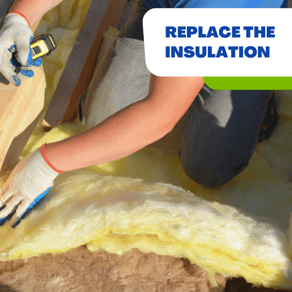 Replace the Insulation