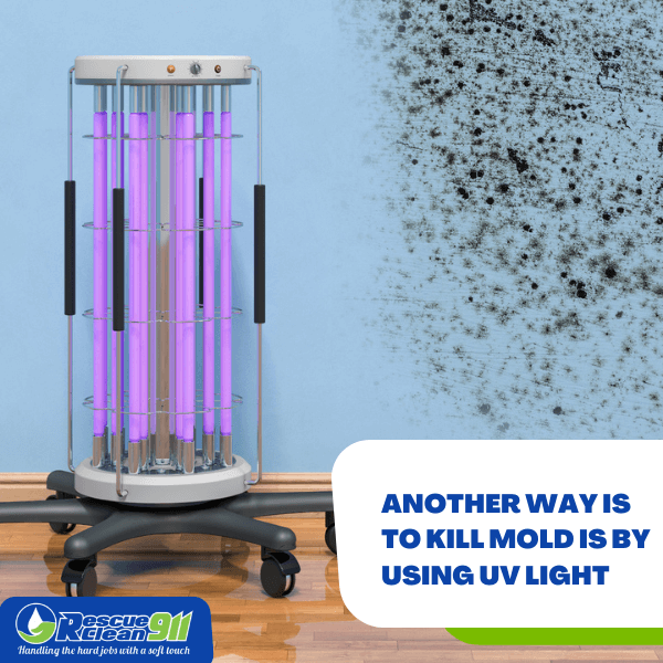 Does UV Light Kill Mold?