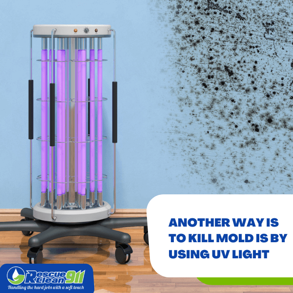 Can You Use Uv Light To Kill Mold Spores Shelly Lighting