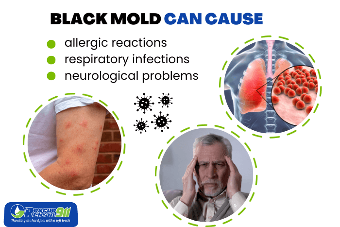 black-mold-in-insulation -featured