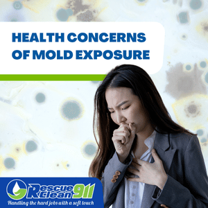 how to find mold in walls
