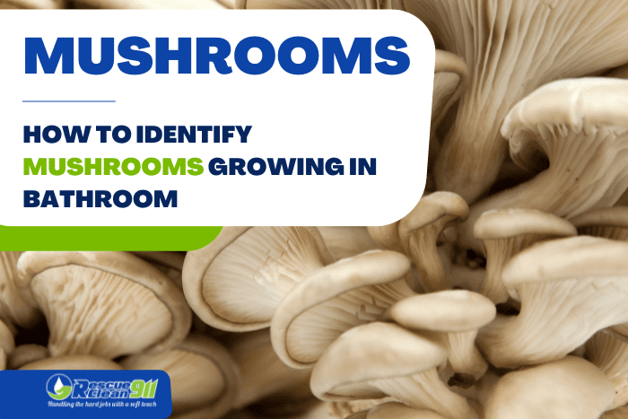 how to identify mushrooms growing in bathroom