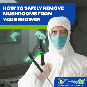 increased humidity to prevent mold growth