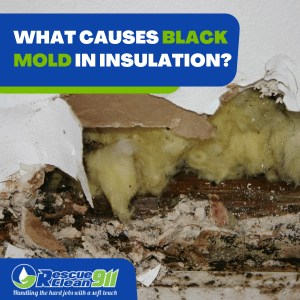 mold grow in insulation