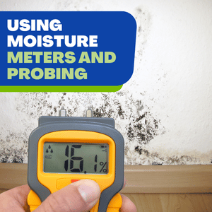 mold growing in walls