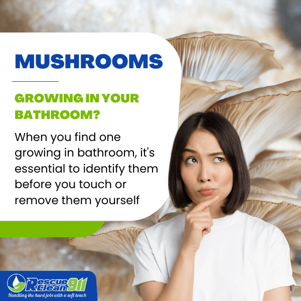 mushroom growing in bathroom