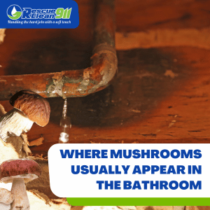 non toxic mushrooms