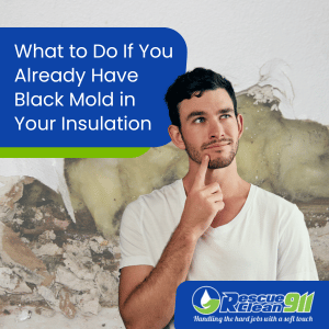 potential health risks of black mold in insulation