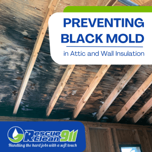 prevent mold growth on insulation