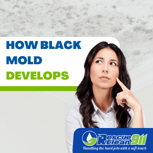 proper ventilation to prevent mold in insulation
