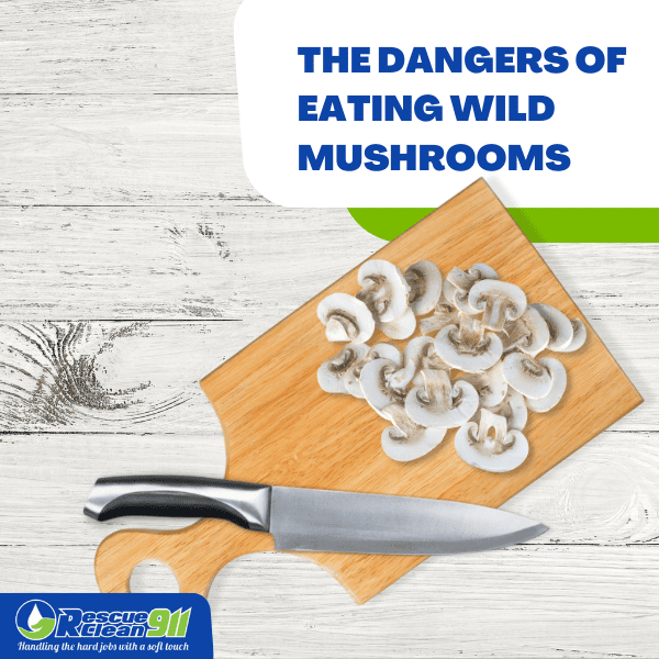 real danger of eating wild growing mushrooms