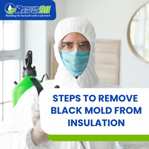 removing mold in insulation