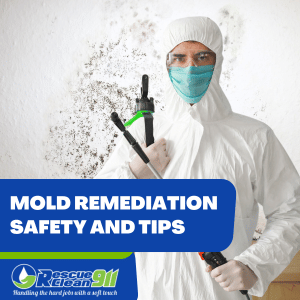 water problems can cause molds in walls