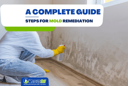 A Complete Guide - Steps For Mold Remediation