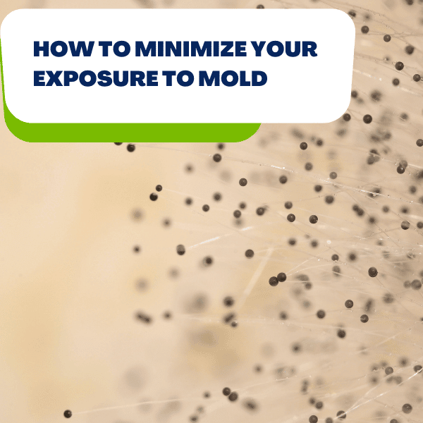 Call mold removal company to minimize mold exposure