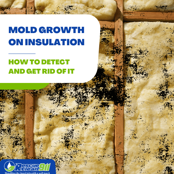 Can mold grow on insulation