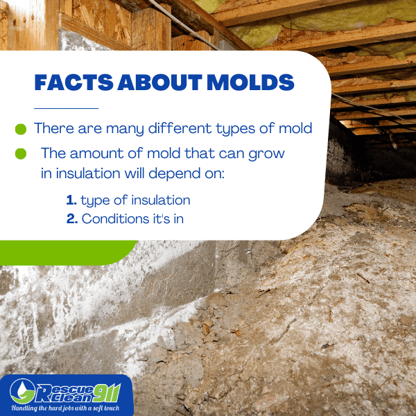 Facts about mold growth