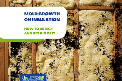 How to detect molds in walls