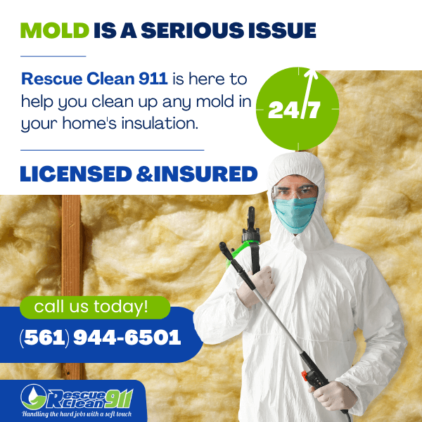 Mold spores is a serious issue