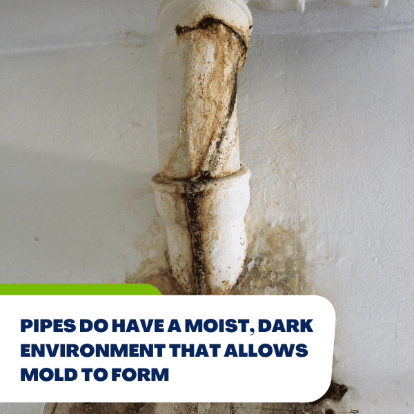 Pipes do have moist - Clean mold with baking soda