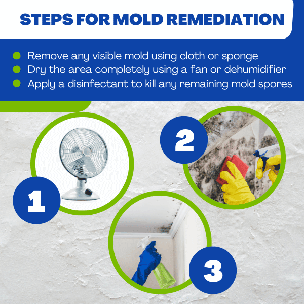 Steps for Mold Remediation
