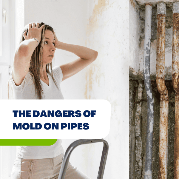 The dangers of mold on pipes