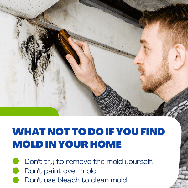 What NOT To Do if you find mold in your home